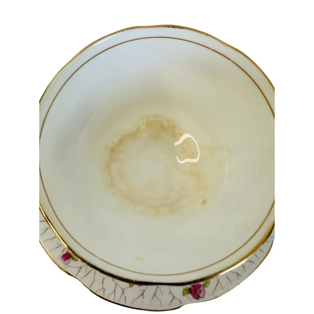 Adderley Tea Cup and Saucer Pink Chintz Painted Blossoms‎ Vintage Read